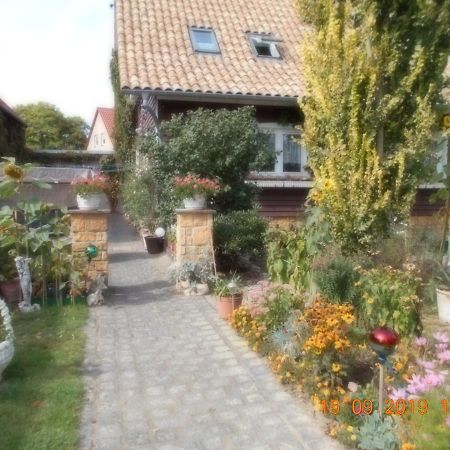 Vermiete Sehr Schoenes Apartment In Dankerode Im Harz Dış mekan fotoğraf