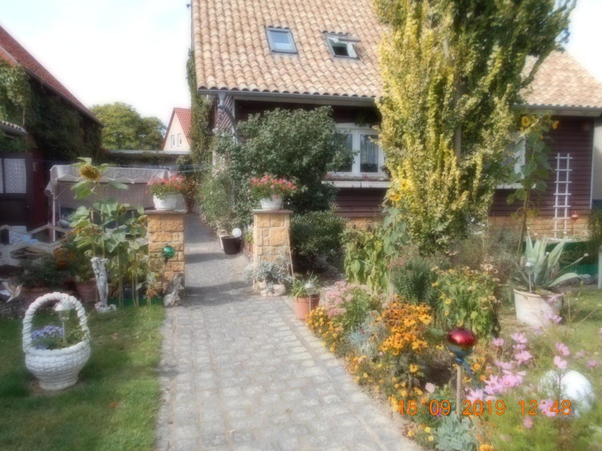 Vermiete Sehr Schoenes Apartment In Dankerode Im Harz Dış mekan fotoğraf