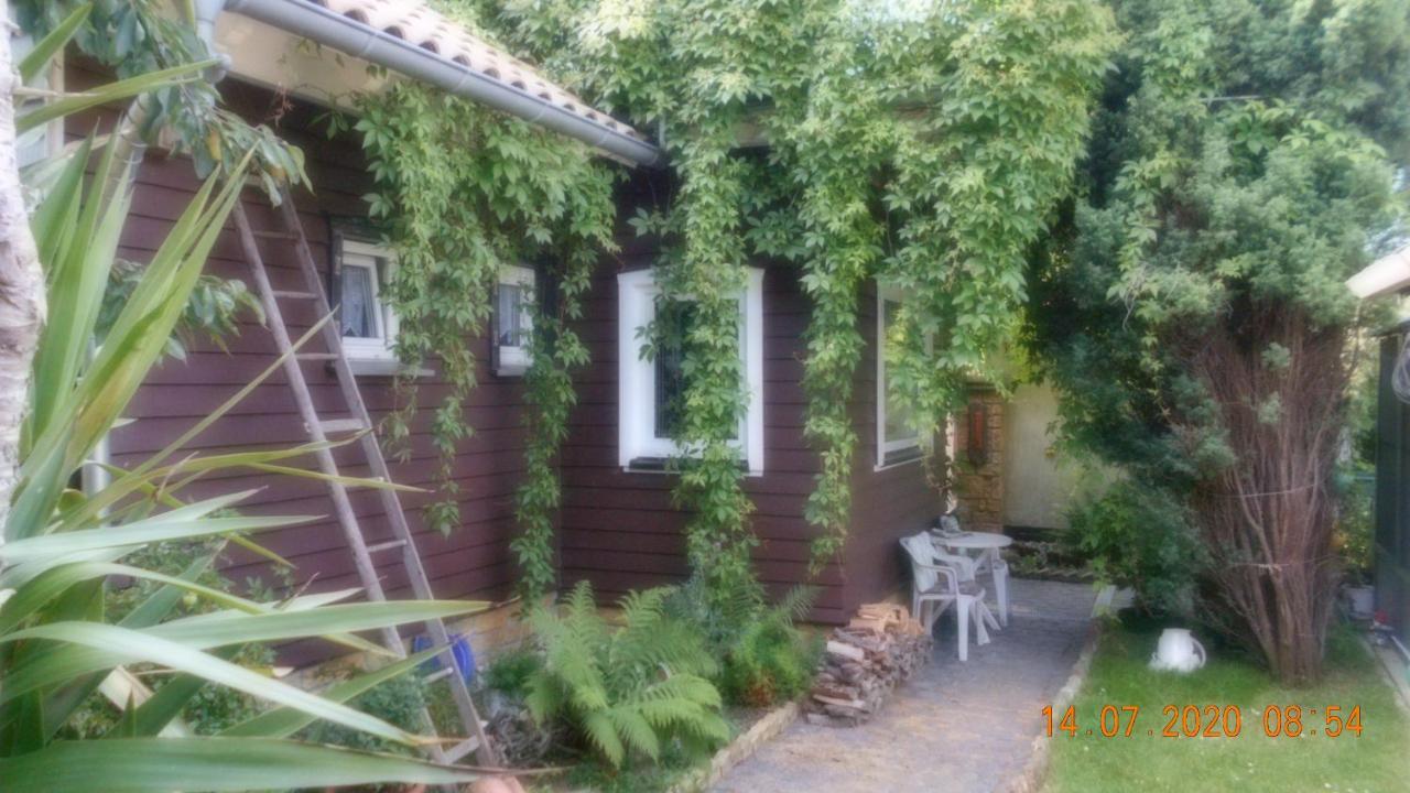 Vermiete Sehr Schoenes Apartment In Dankerode Im Harz Dış mekan fotoğraf