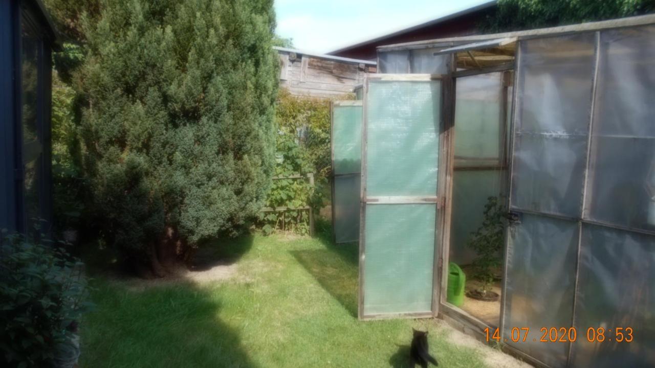 Vermiete Sehr Schoenes Apartment In Dankerode Im Harz Dış mekan fotoğraf