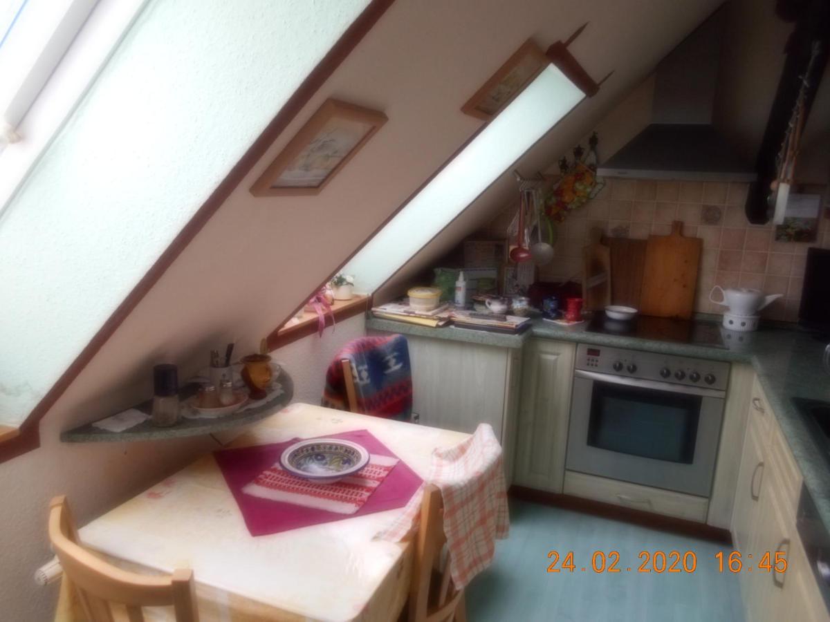 Vermiete Sehr Schoenes Apartment In Dankerode Im Harz Dış mekan fotoğraf