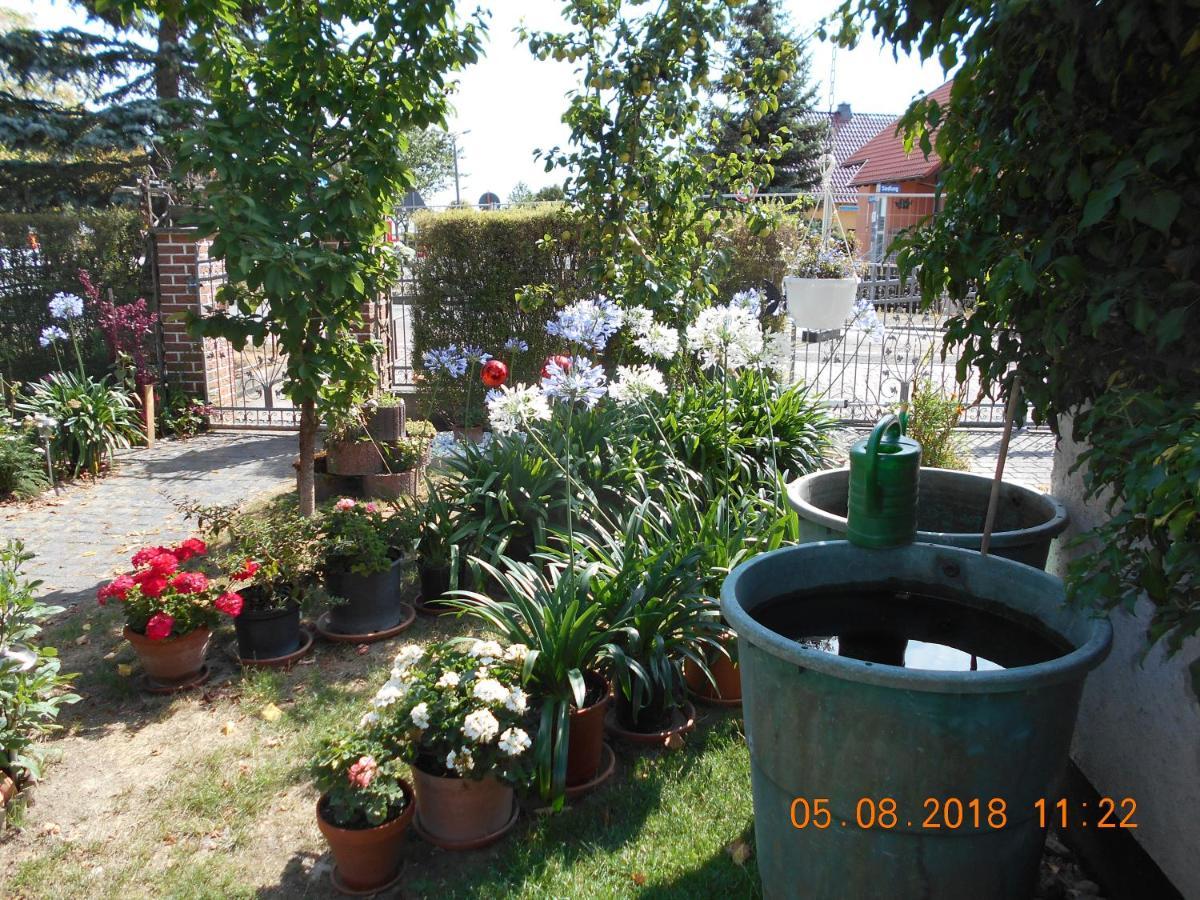 Vermiete Sehr Schoenes Apartment In Dankerode Im Harz Dış mekan fotoğraf